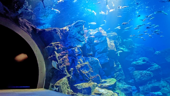 ◆男鹿水族館チケット付◆海のアイドルに癒されよう！当館から車で10分♪GAOプラン